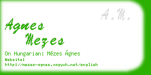 agnes mezes business card